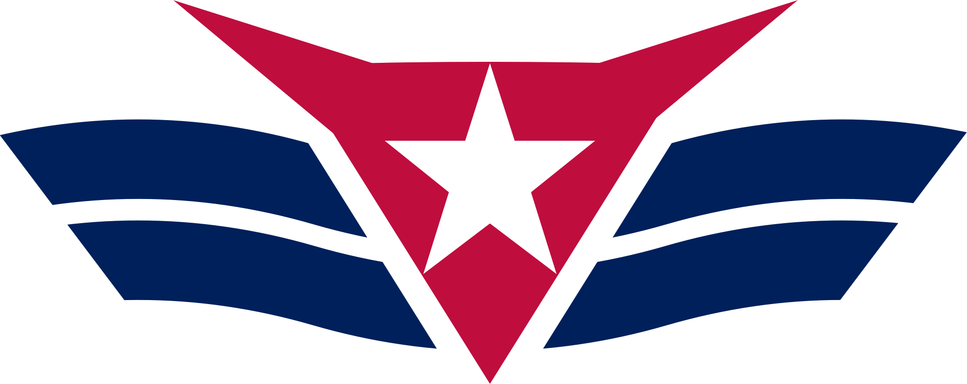Texas Pilot